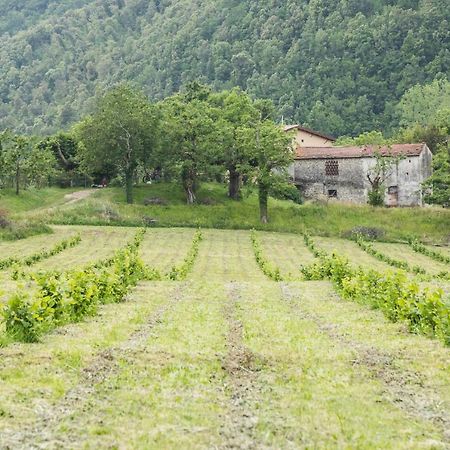 Podere Groppini Fivizzano Eksteriør bilde
