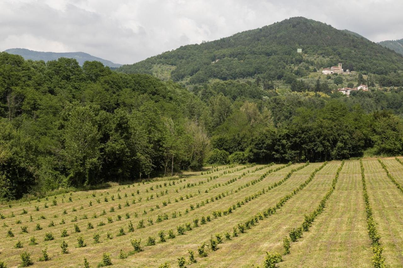 Podere Groppini Fivizzano Eksteriør bilde