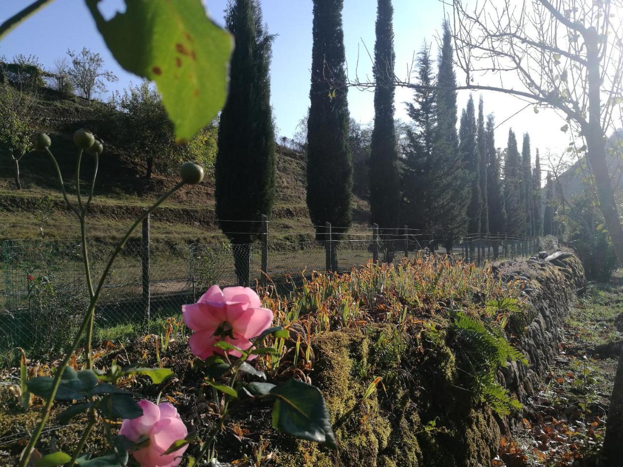 Podere Groppini Fivizzano Eksteriør bilde