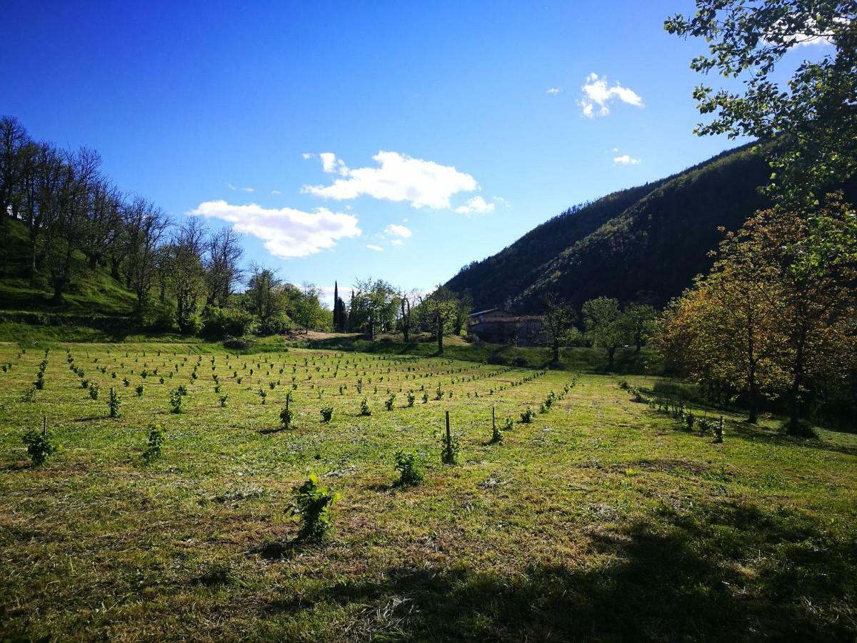 Podere Groppini Fivizzano Eksteriør bilde